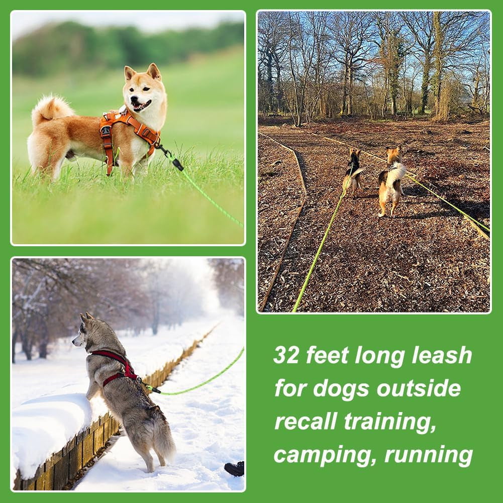 Floating Long Dog Leash, 32Ft Dog Training Leash for Swimming and Lake, Reflective Long Rope Lead with Soft Handle for Outside, Yard, Camping, Hiking and Beach (Green)